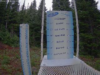 Castle Mountain: Storm Cam (skicastle.ca)