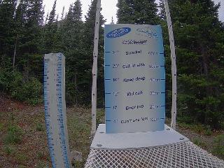Castle Mountain: Storm Cam (skicastle.ca)