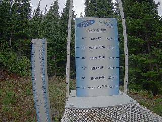 Castle Mountain: Storm Cam (skicastle.ca)