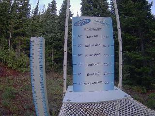 Castle Mountain: Storm Cam (skicastle.ca)