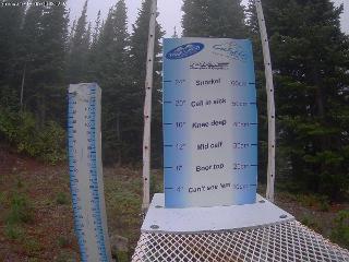 Castle Mountain: Storm Cam (skicastle.ca)