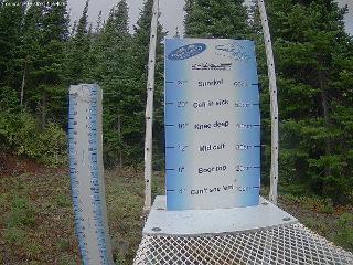 Castle Mountain: Storm Cam (skicastle.ca)