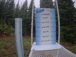 Castle Mountain: Storm Cam (skicastle.ca)