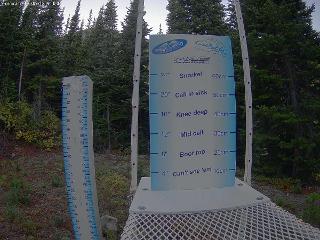 Castle Mountain: Storm Cam (skicastle.ca)