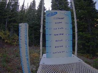 Castle Mountain: Storm Cam (skicastle.ca)