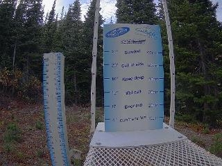 Castle Mountain: Storm Cam (skicastle.ca)