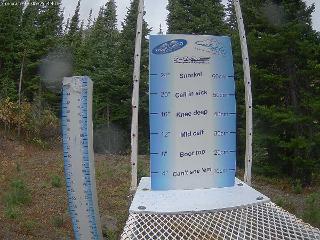 Castle Mountain: Storm Cam (skicastle.ca)