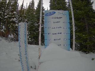 Castle Mountain: Storm Cam (skicastle.ca)