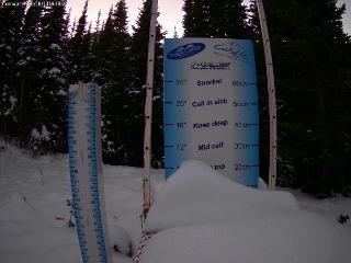 Castle Mountain: Storm Cam (skicastle.ca)