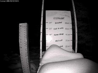 Castle Mountain: Storm Cam (skicastle.ca)