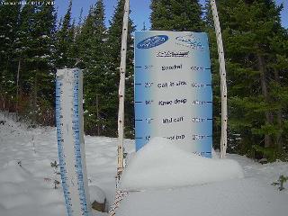Castle Mountain: Storm Cam (skicastle.ca)