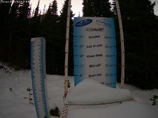 Castle Mountain: Storm Cam (skicastle.ca)