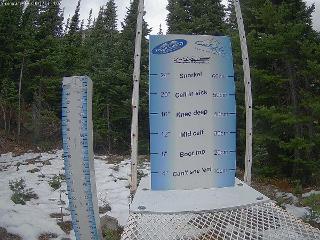Castle Mountain: Storm Cam (skicastle.ca)