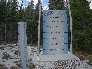 Castle Mountain: Storm Cam (skicastle.ca)