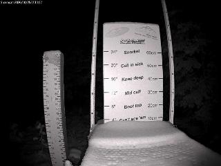 Castle Mountain: Storm Cam (skicastle.ca)