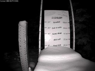 Castle Mountain: Storm Cam (skicastle.ca)
