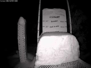 Castle Mountain: Storm Cam (skicastle.ca)