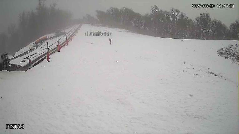 Webcam Cerro Bayo: Copitos
