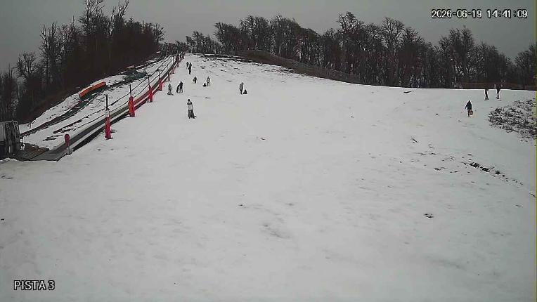 Webcam Cerro Bayo: Copitos
