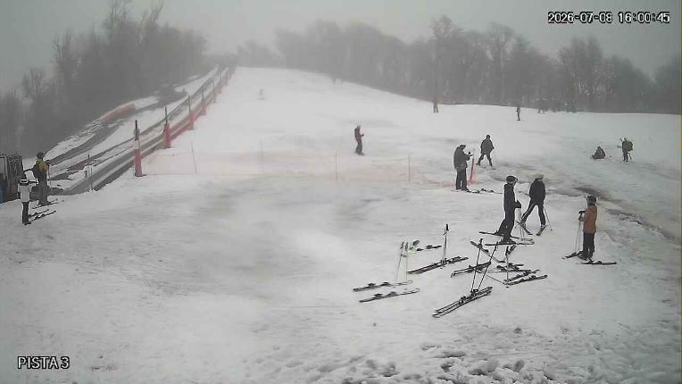Webcam Cerro Bayo: Copitos