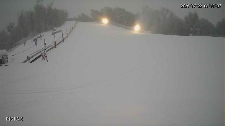 Webcam Cerro Bayo: Copitos