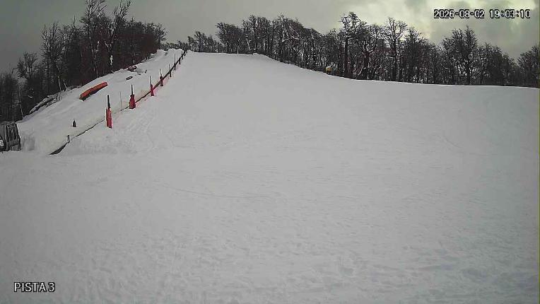 Webcam Cerro Bayo: Copitos
