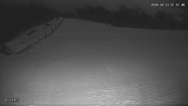 Webcam Cerro Bayo: Copitos