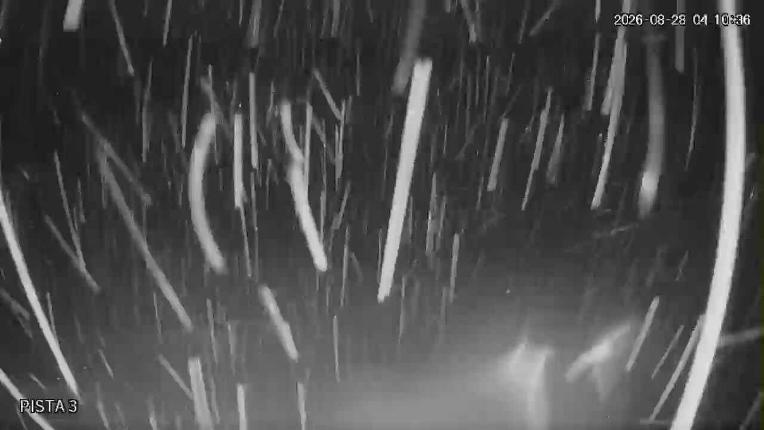 Webcam Cerro Bayo: Copitos