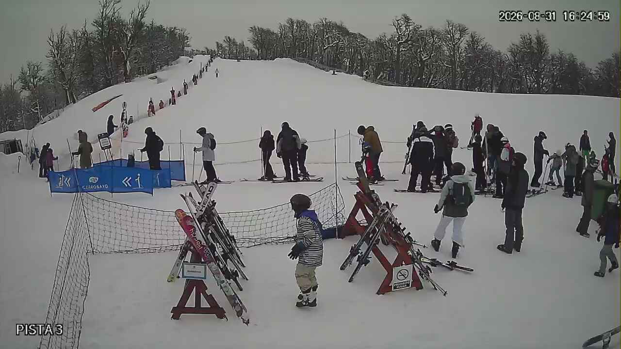 Webcam Cerro Bayo: Copitos