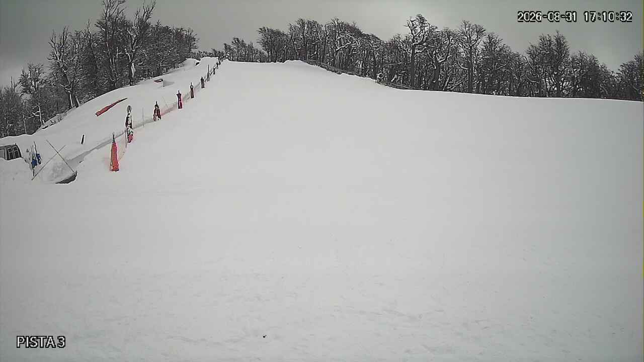 Webcam Cerro Bayo: Copitos