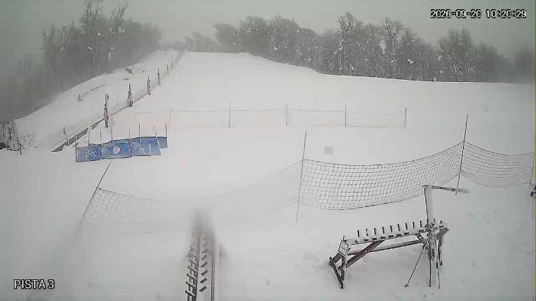 Webcam Cerro Bayo: Copitos