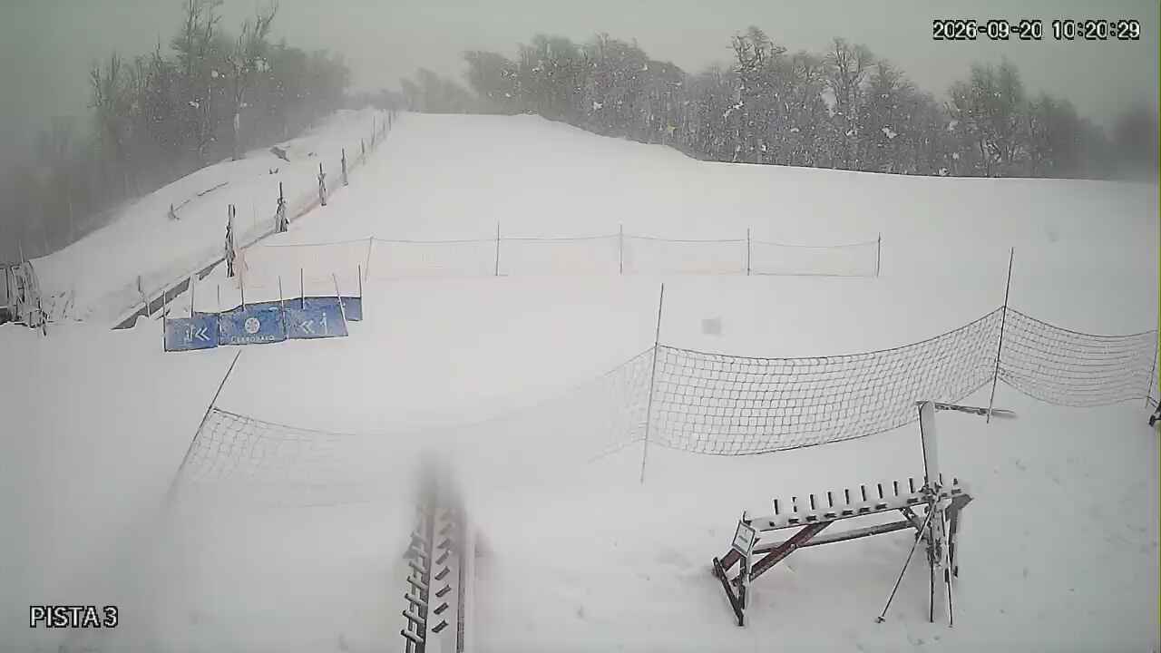 Webcam Cerro Bayo: Copitos