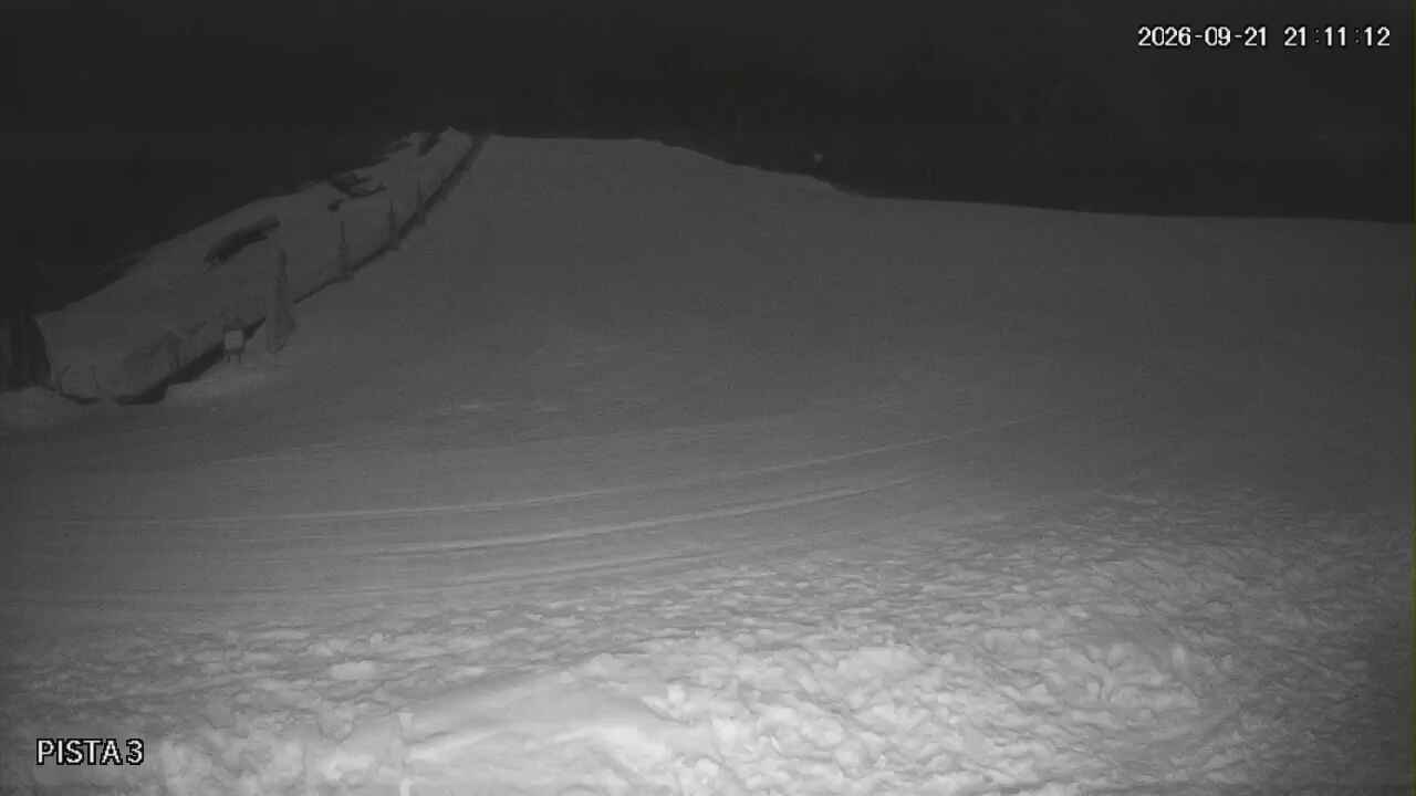 Webcam Cerro Bayo: Copitos