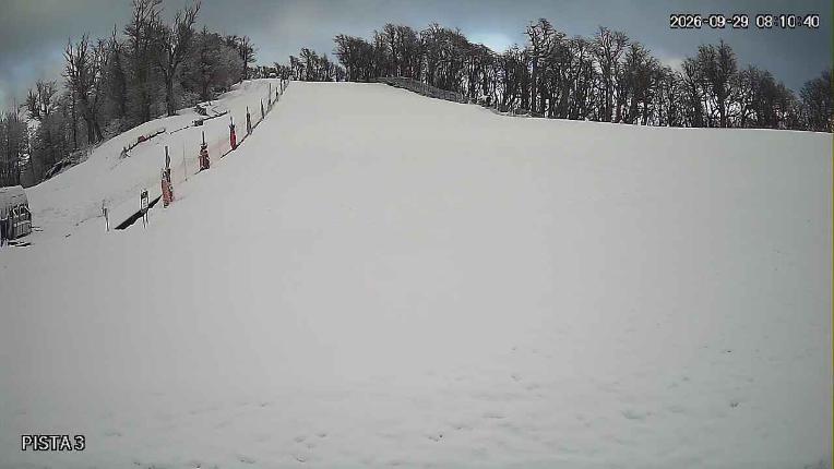 Webcam Cerro Bayo: Copitos
