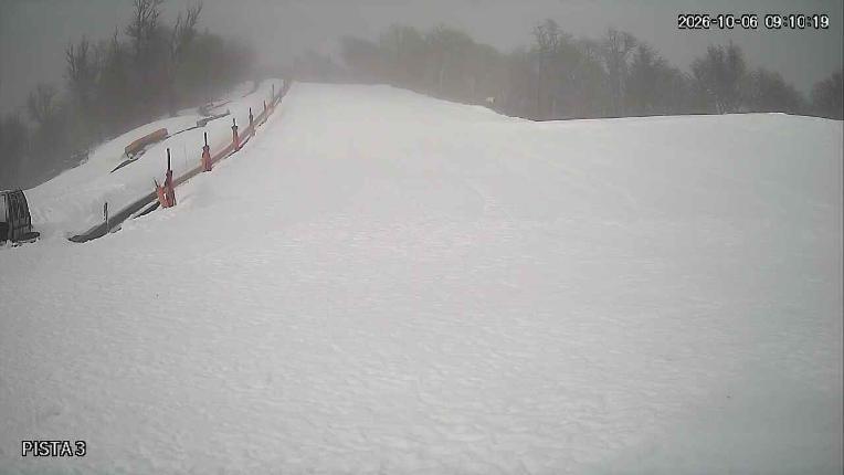 Webcam Cerro Bayo: Copitos