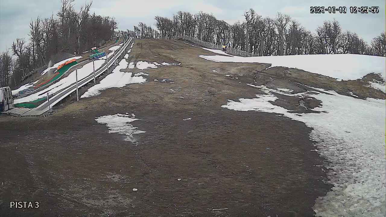 Webcam Cerro Bayo: Copitos