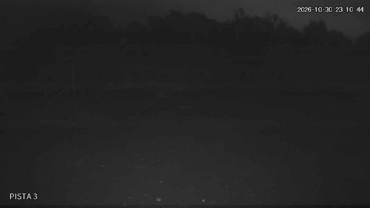 Webcam Cerro Bayo: Copitos