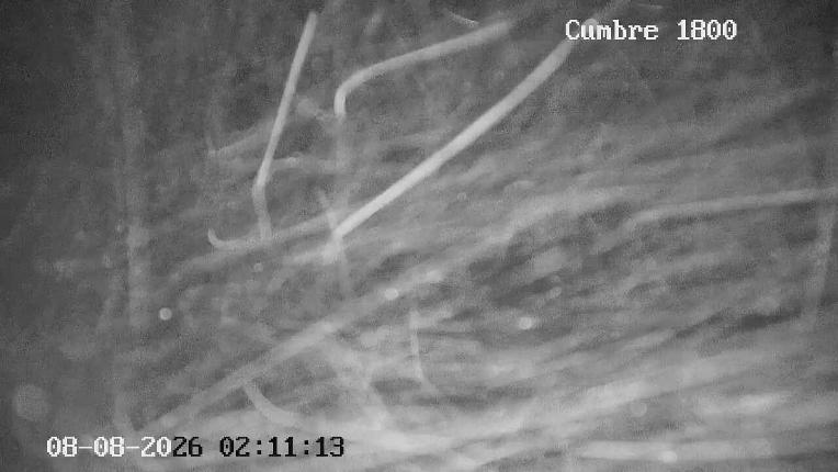Webcam Cerro Bayo: Sector Cumbre