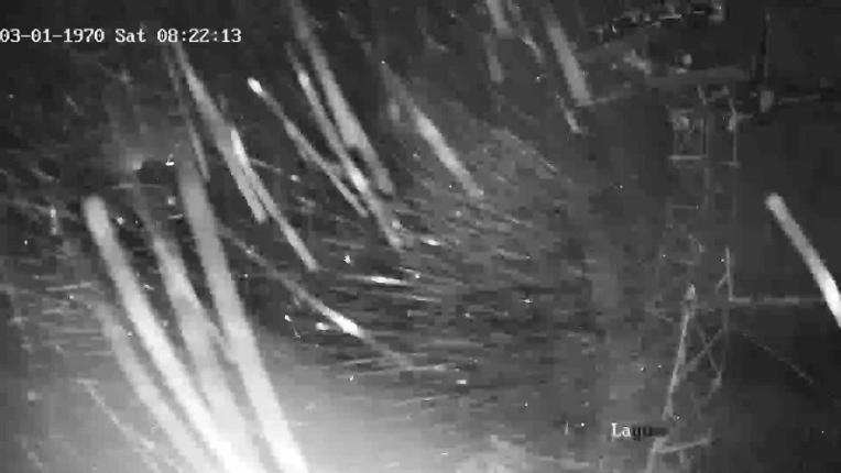 Webcam Cerro Bayo: Telesilla Lagos