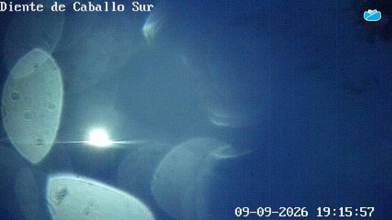 Webcam Cerro Catedral: Diente de Caballo Sur