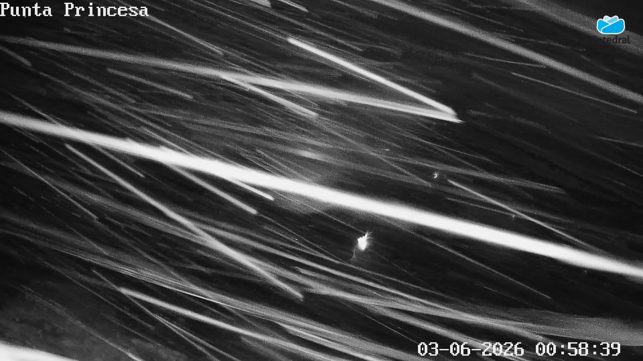 Webcam Cerro Catedral: Punta Nevada