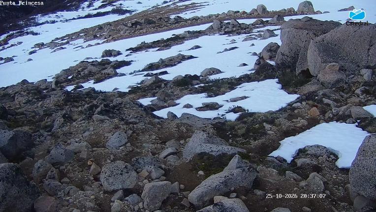 Webcam Cerro Catedral: Punta Nevada