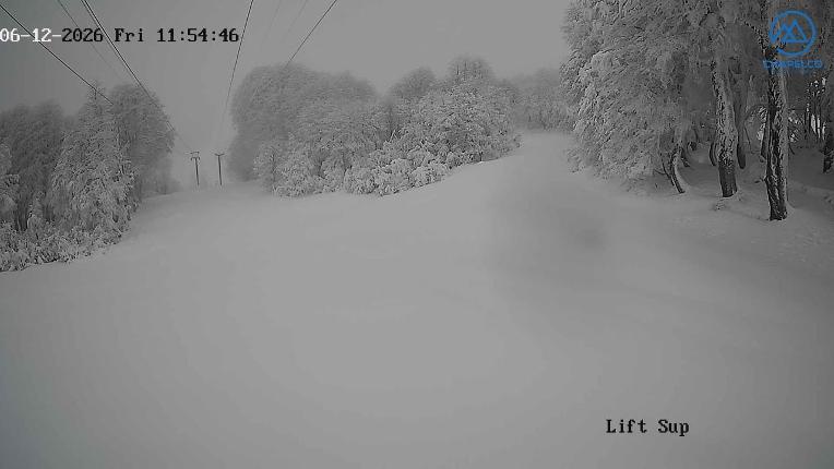 Webcam Chapelco: Base