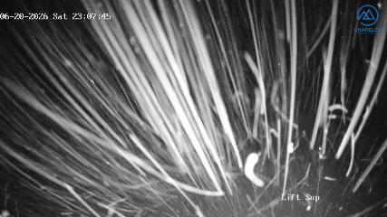 Chapelco: Base (Chapelco.com)