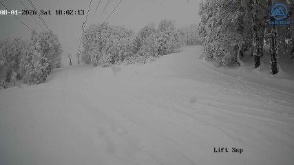 Chapelco webcam