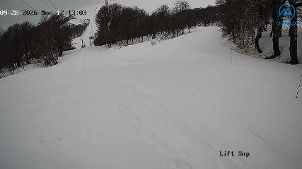 Chapelco webcam