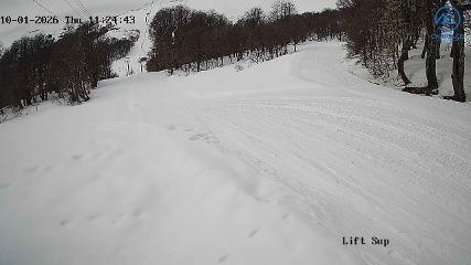 Chapelco webcam