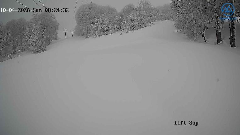 Webcam Chapelco: Base