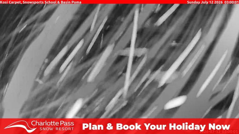 Webcam Charlotte Pass: Kosi carpet