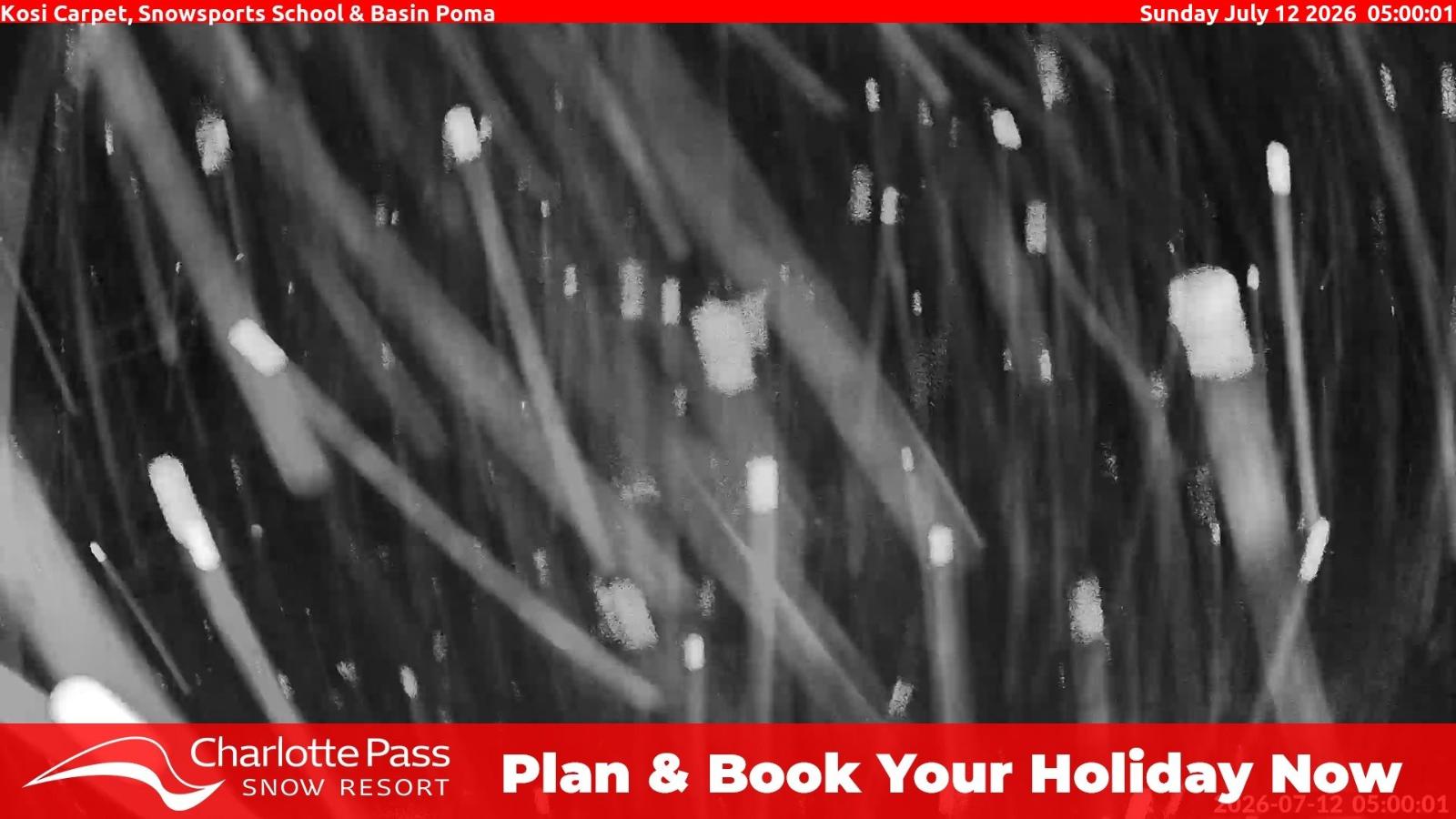 Webcam Charlotte Pass: Kosi carpet